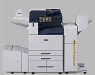 xerox 8170.jpg
